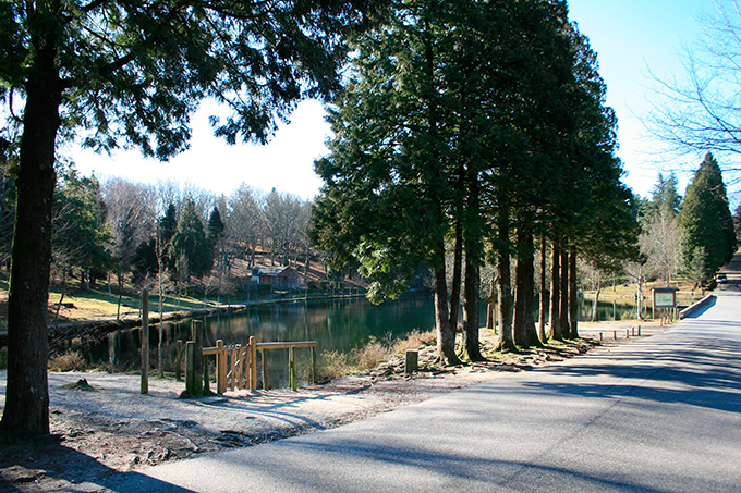Lago Castiñeiras Lago Castiñeiras